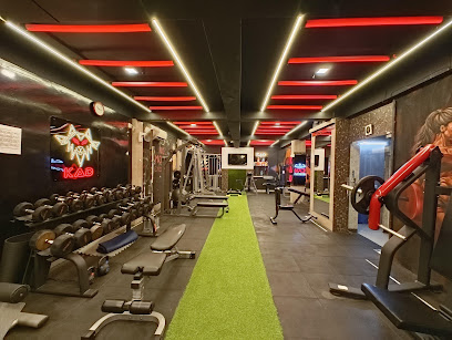 Equipment, dumbbells and training floor at Kad Fitness Garia